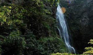 兔谐音四字吉祥语 兔谐音四字吉祥语