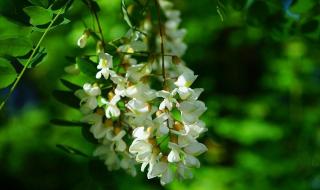 祝愿企业前程好诗句