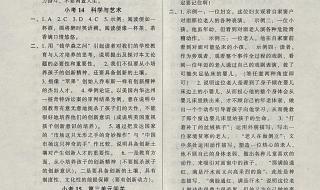 小考专家答案 小考专家答案